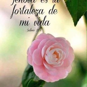 Meet your Posher, Mar